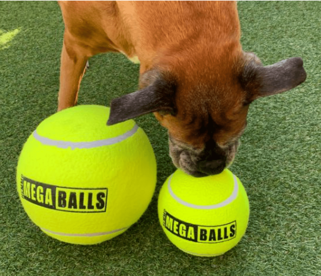 6" Mega Ball (Hem & Boo) - SnowPaw Store - Hem and Boo - Dog Toys